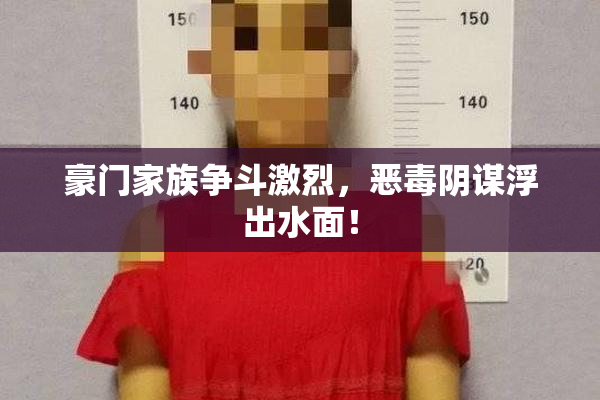 豪门家族争斗激烈，恶毒阴谋浮出水面！