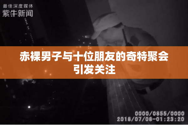 赤裸男子与十位朋友的奇特聚会引发关注