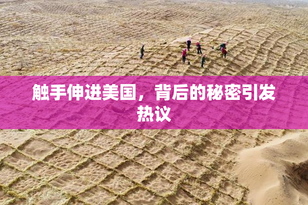 触手伸进美国，背后的秘密引发热议