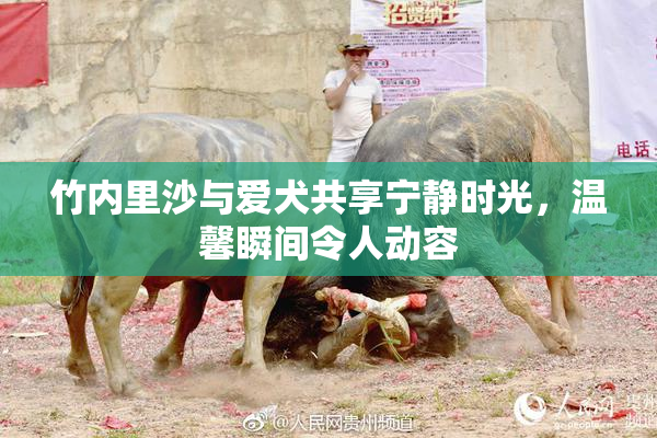 竹内里沙与爱犬共享宁静时光，温馨瞬间令人动容