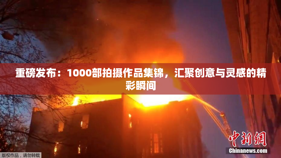 重磅发布：1000部拍摄作品集锦，汇聚创意与灵感的精彩瞬间