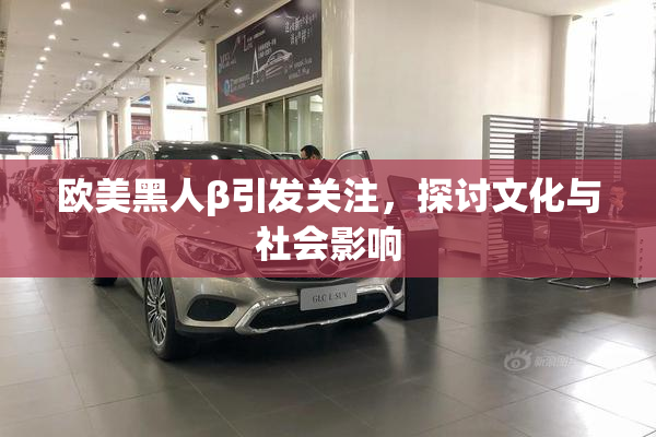 欧美黑人β引发关注，探讨文化与社会影响