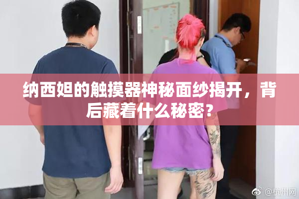 纳西妲的触摸器神秘面纱揭开，背后藏着什么秘密？