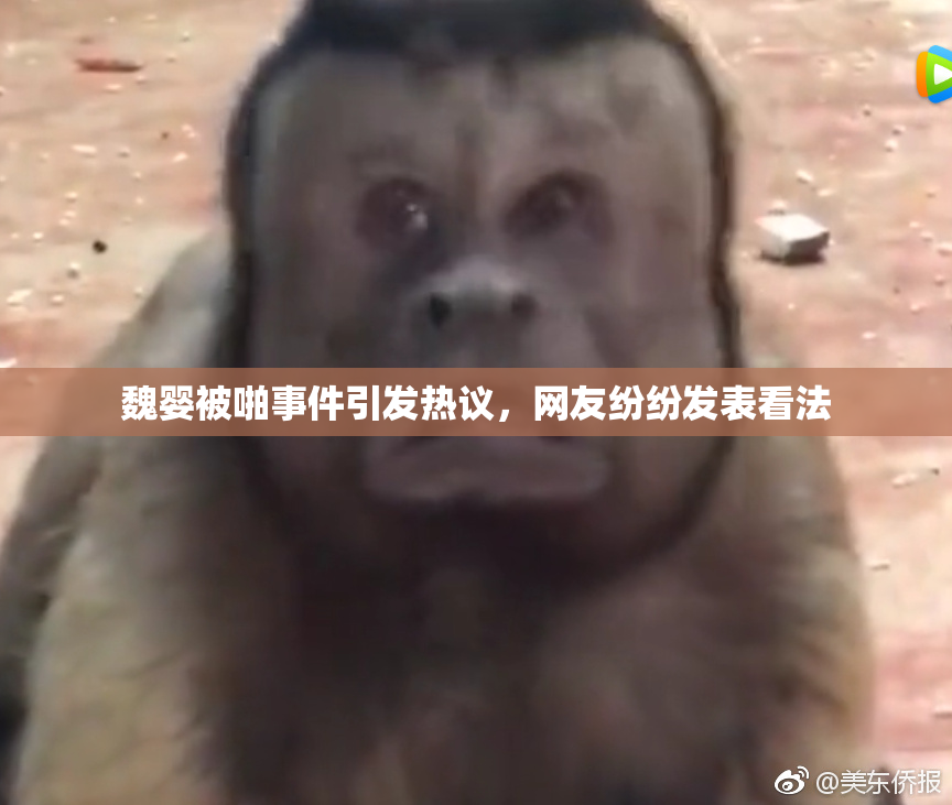 魏婴被啪事件引发热议，网友纷纷发表看法