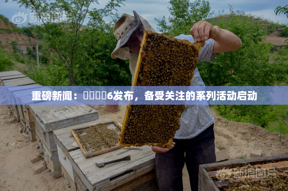 重磅新闻：❌‌❌‌6发布，备受关注的系列活动启动
