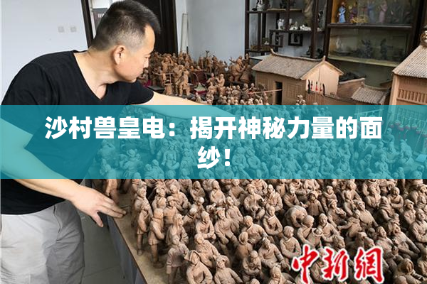 沙村兽皇电：揭开神秘力量的面纱！
