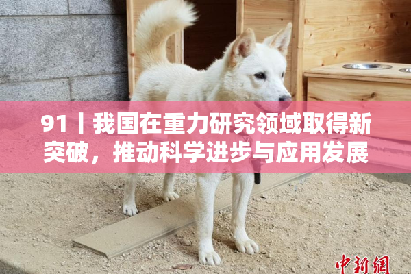 91丨我国在重力研究领域取得新突破，推动科学进步与应用发展
