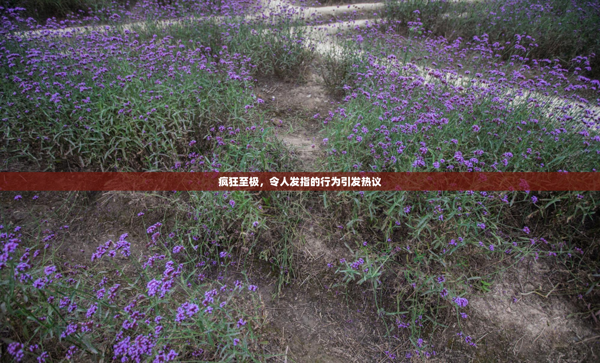 疯狂至极，令人发指的行为引发热议