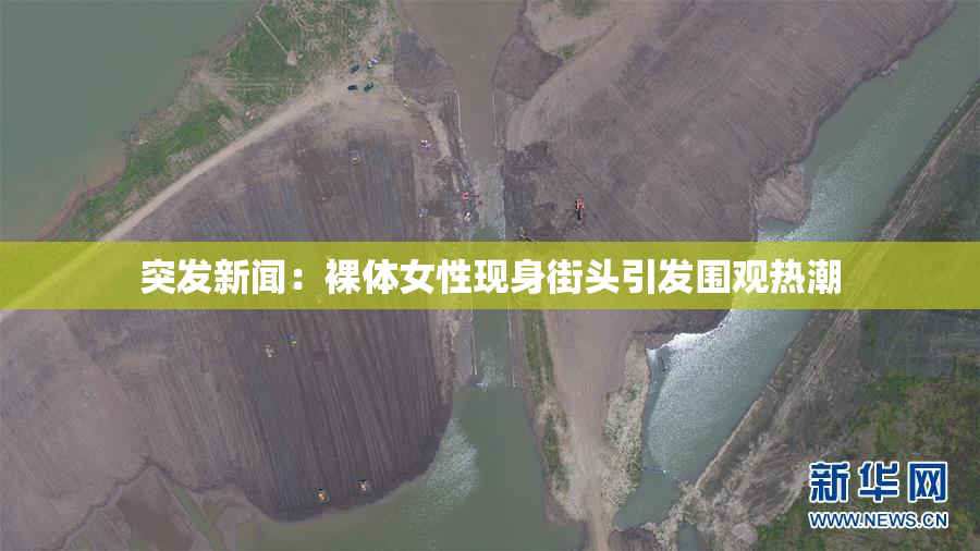 突发新闻：裸体女性现身街头引发围观热潮