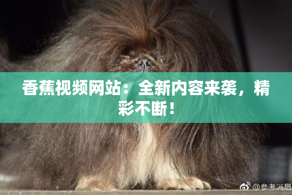香蕉视频网站：全新内容来袭，精彩不断！