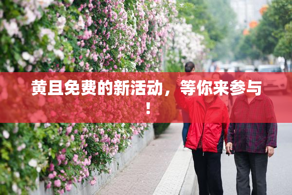 黄且免费的新活动，等你来参与！