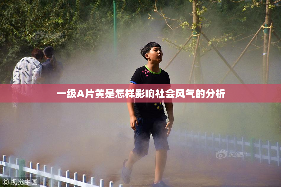 一级A片黄是怎样影响社会风气的分析