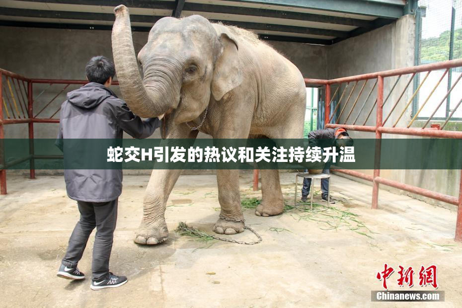 蛇交H引发的热议和关注持续升温