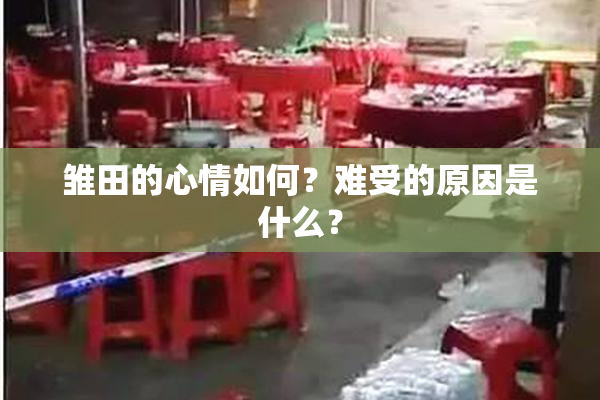 雏田的心情如何？难受的原因是什么？