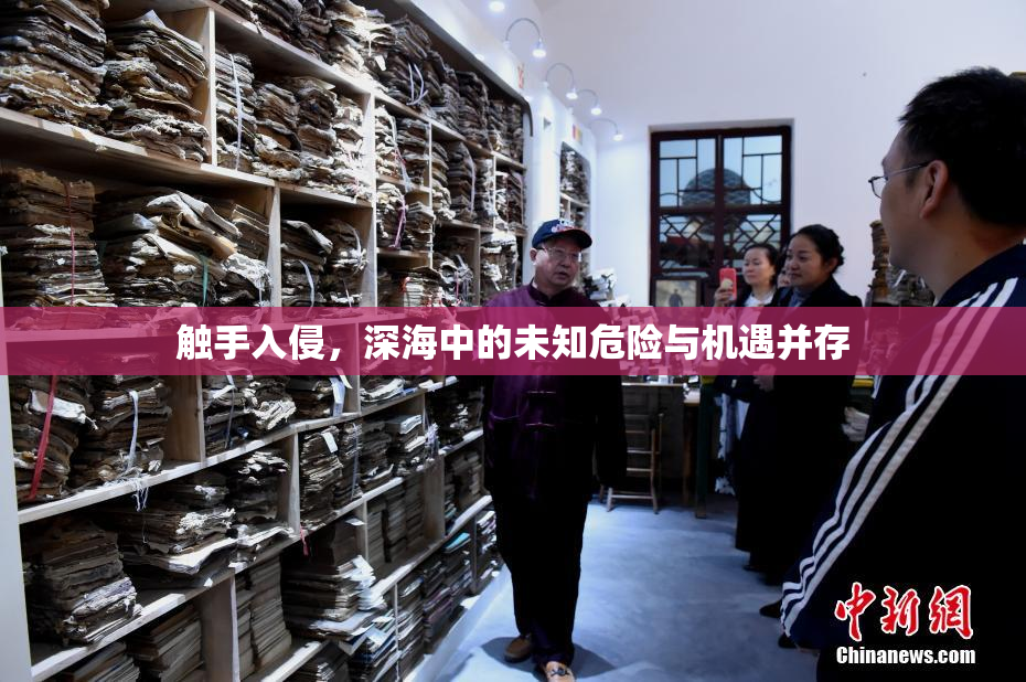触手入侵，深海中的未知危险与机遇并存