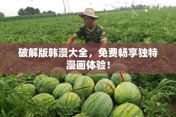 破解版韩漫大全，免费畅享独特漫画体验！