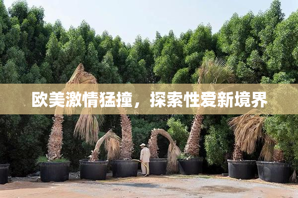 欧美激情猛撞，探索性爱新境界
