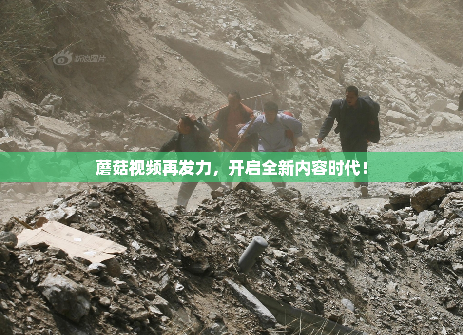 蘑菇视频再发力，开启全新内容时代！