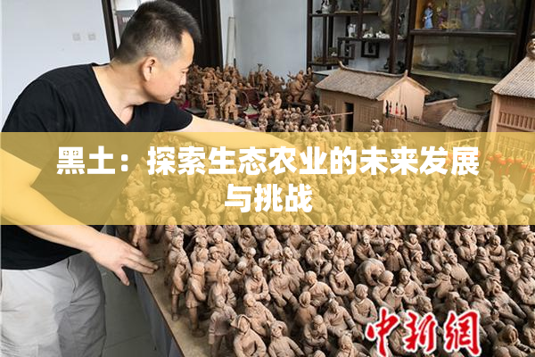 黑土：探索生态农业的未来发展与挑战