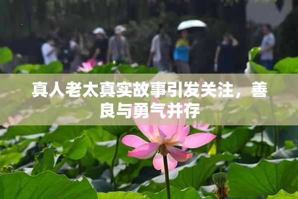 真人老太真实故事引发关注，善良与勇气并存