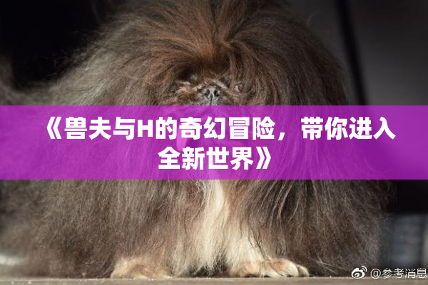 《兽夫与H的奇幻冒险，带你进入全新世界》