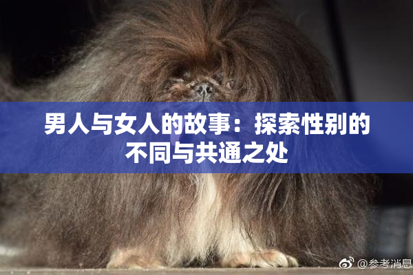 男人与女人的故事：探索性别的不同与共通之处