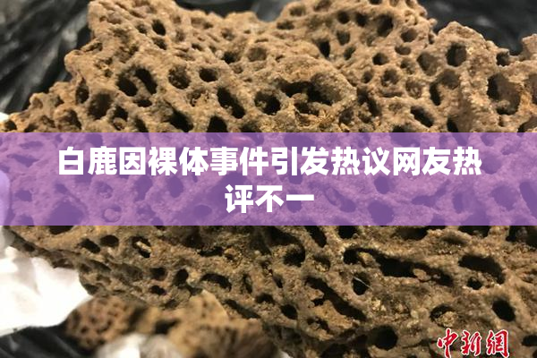 白鹿因裸体事件引发热议网友热评不一