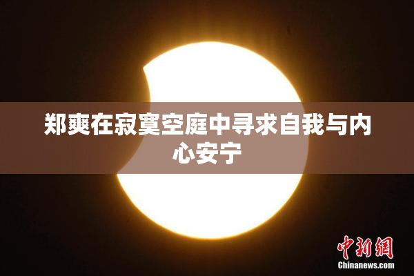 郑爽在寂寞空庭中寻求自我与内心安宁