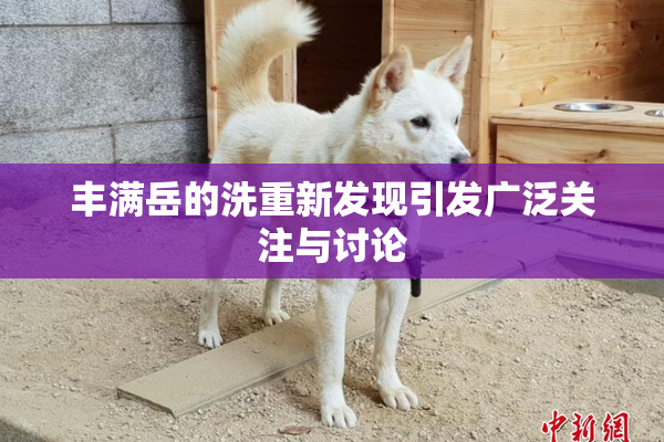 丰满岳的洗重新发现引发广泛关注与讨论