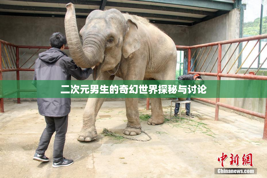 二次元男生的奇幻世界探秘与讨论