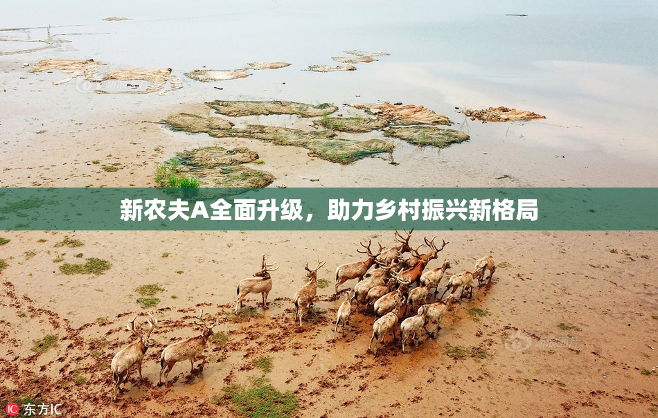 新农夫A全面升级，助力乡村振兴新格局