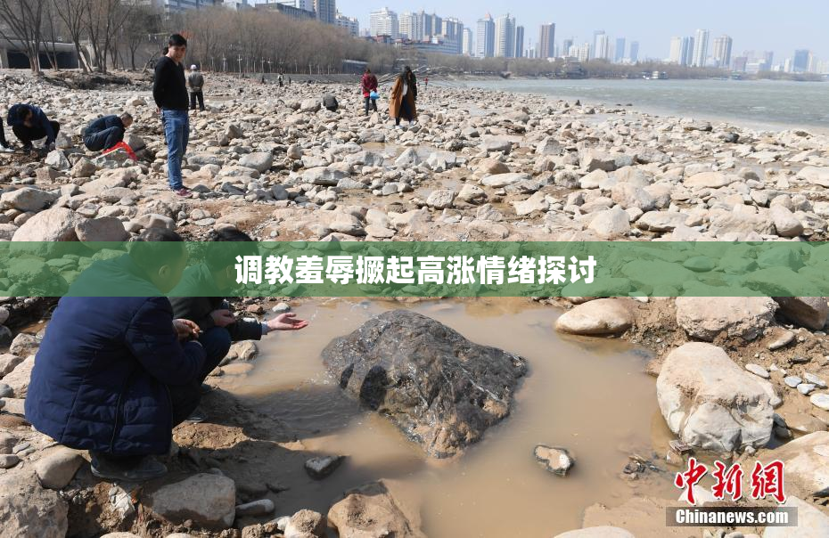 调教羞辱撅起高涨情绪探讨
