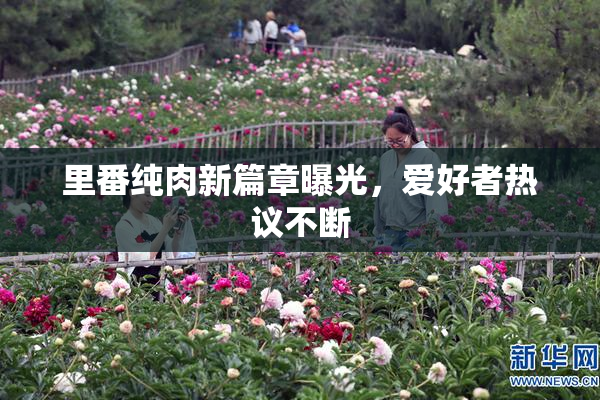 里番纯肉新篇章曝光，爱好者热议不断