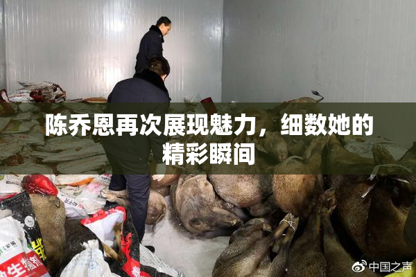 陈乔恩再次展现魅力，细数她的精彩瞬间
