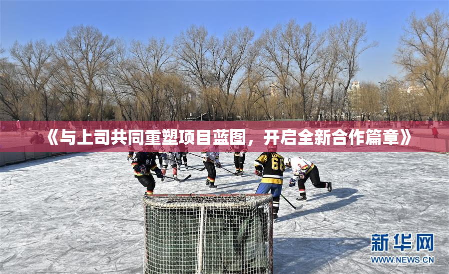 《与上司共同重塑项目蓝图，开启全新合作篇章》