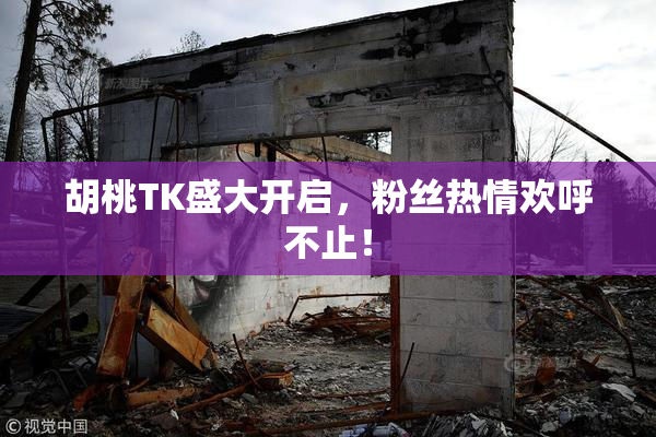 胡桃TK盛大开启，粉丝热情欢呼不止！