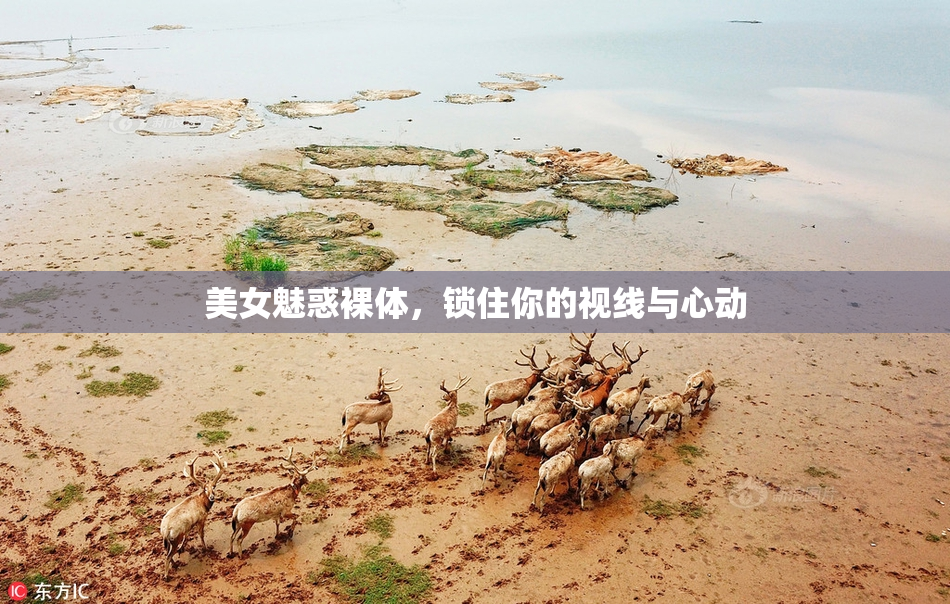 美女魅惑裸体，锁住你的视线与心动