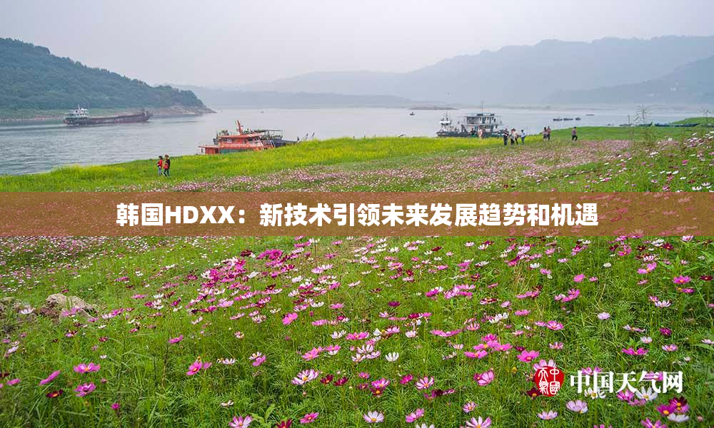 韩国HDXX：新技术引领未来发展趋势和机遇