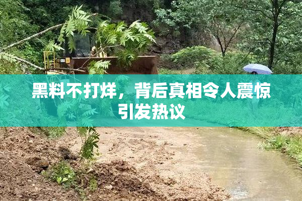 黑料不打烊，背后真相令人震惊引发热议