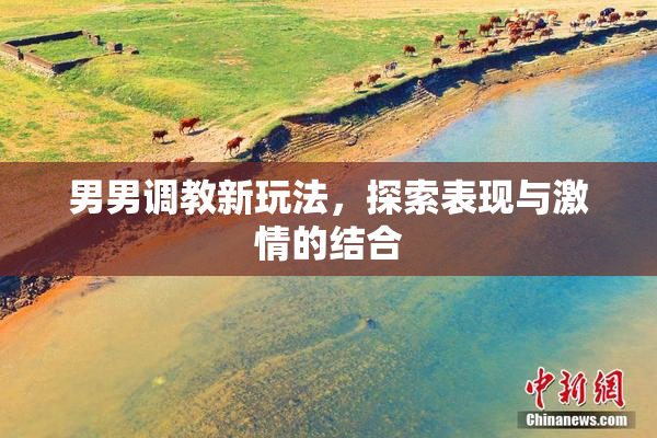 男男调教新玩法，探索表现与激情的结合