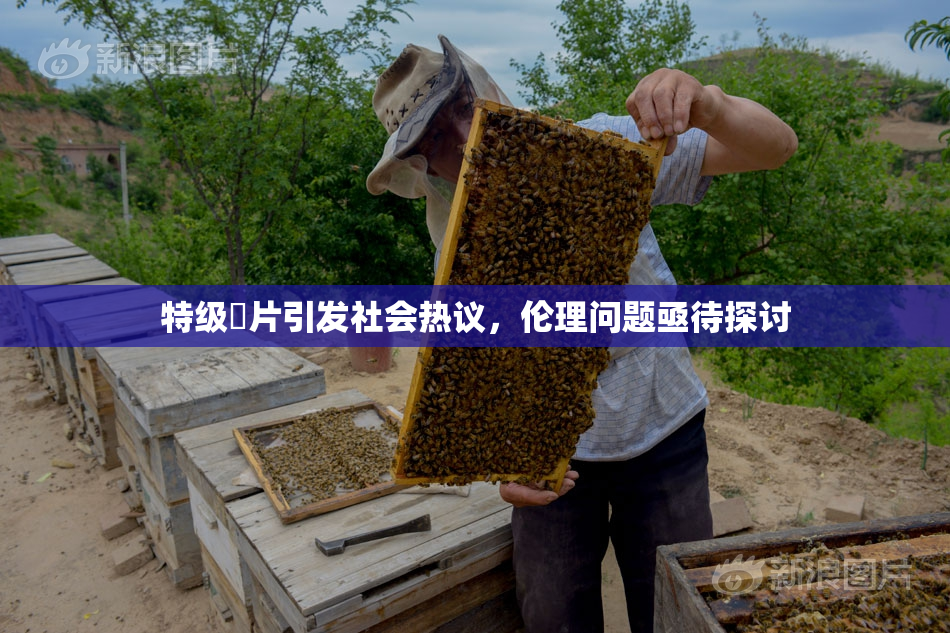 特级婬片引发社会热议，伦理问题亟待探讨