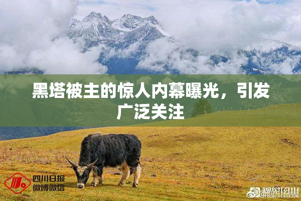 黑塔被主的惊人内幕曝光，引发广泛关注