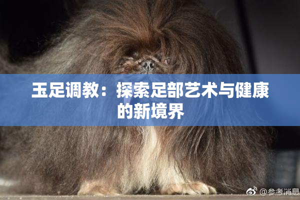玉足调教：探索足部艺术与健康的新境界