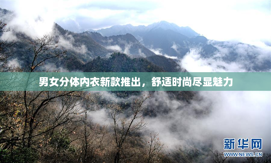 男女分体内衣新款推出，舒适时尚尽显魅力