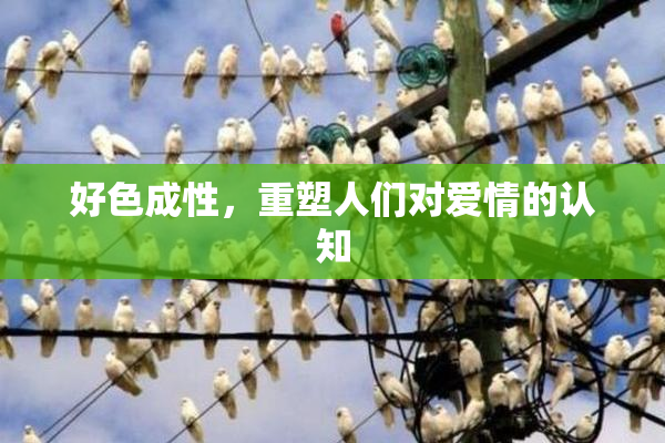 好色成性，重塑人们对爱情的认知