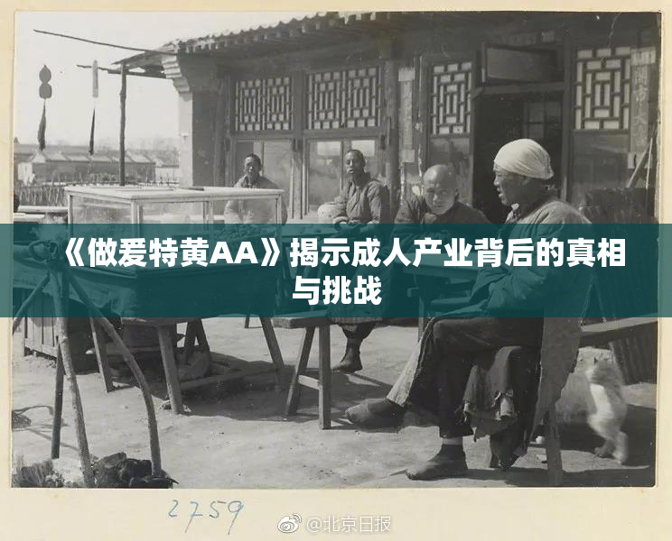 《做爰特黄AA》揭示成人产业背后的真相与挑战