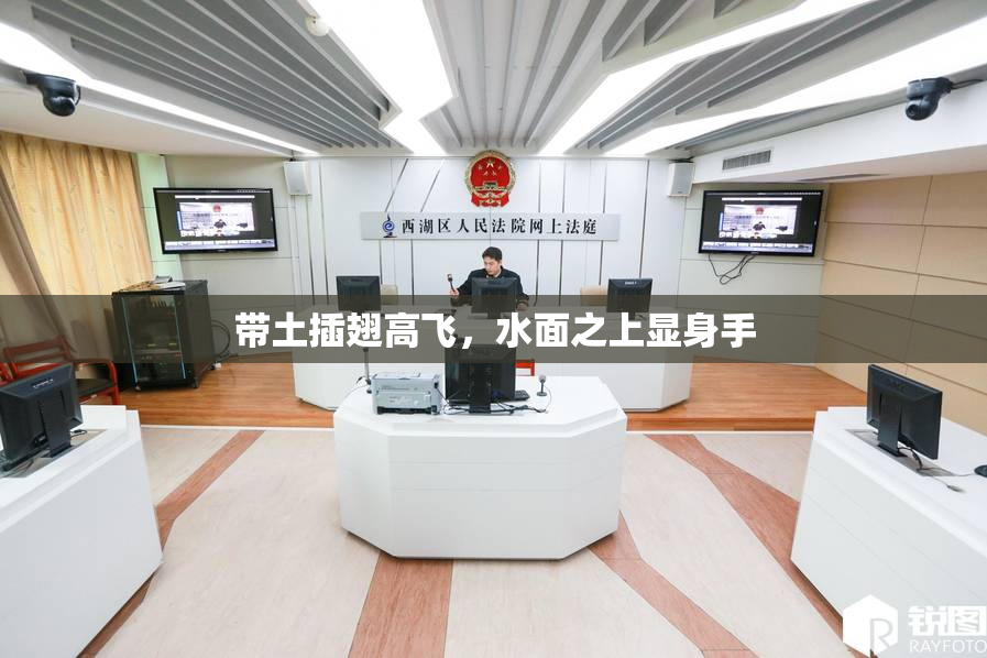 带土插翅高飞，水面之上显身手