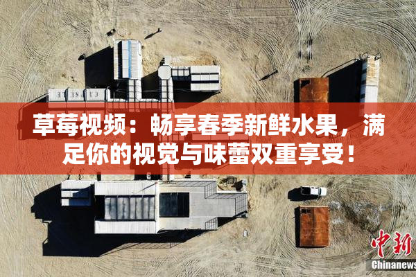 草莓视频：畅享春季新鲜水果，满足你的视觉与味蕾双重享受！