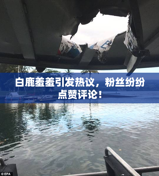 白鹿羞羞引发热议，粉丝纷纷点赞评论！