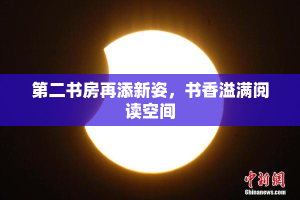 第二书房再添新姿，书香溢满阅读空间
